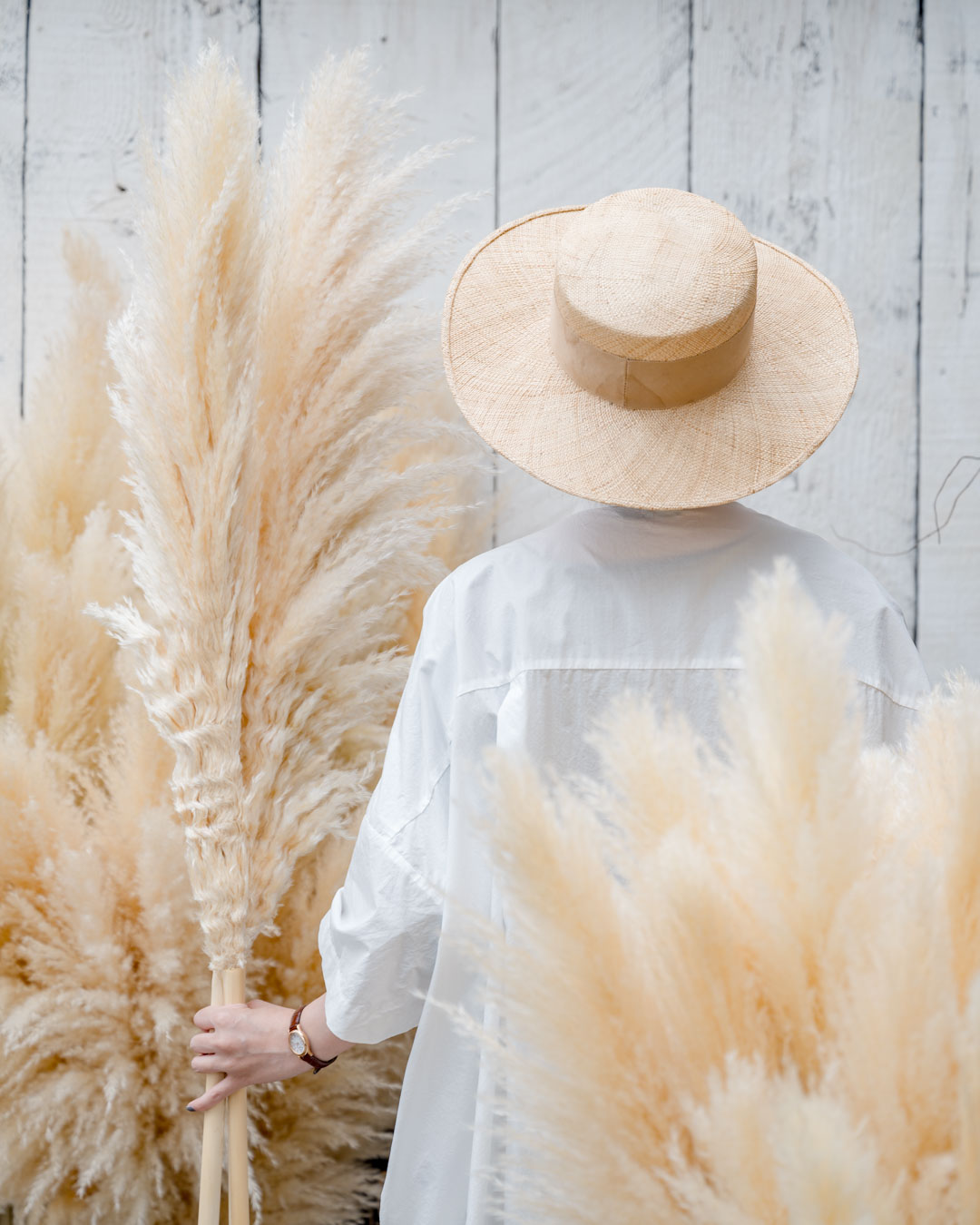 パンパスグラスの購入ガイド＆飾り方｜ふわふわドライフラワーを長持ち