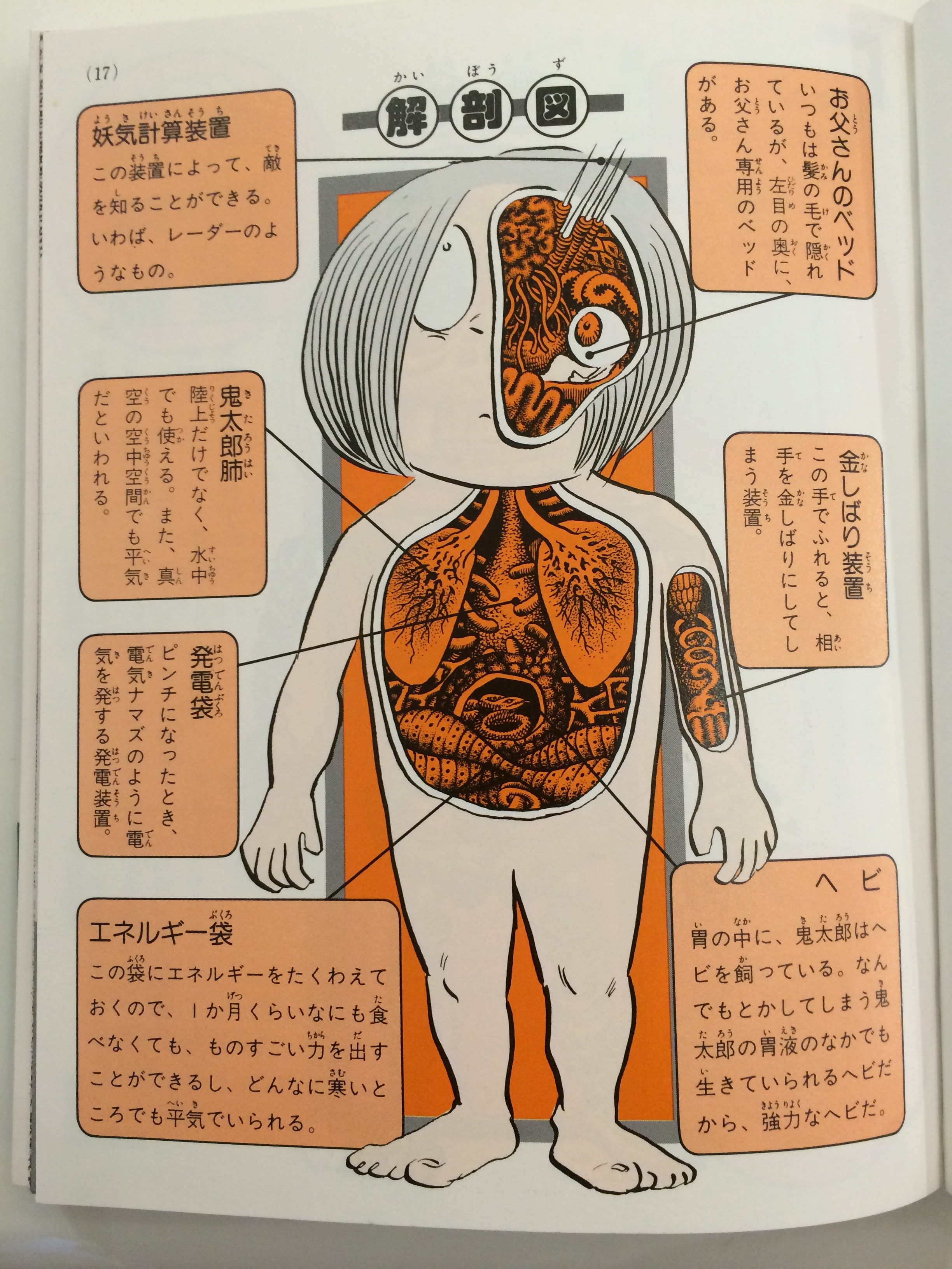 水木しげる先生のおすすめ本 「鬼太郎大百科」 | スタッフブログ