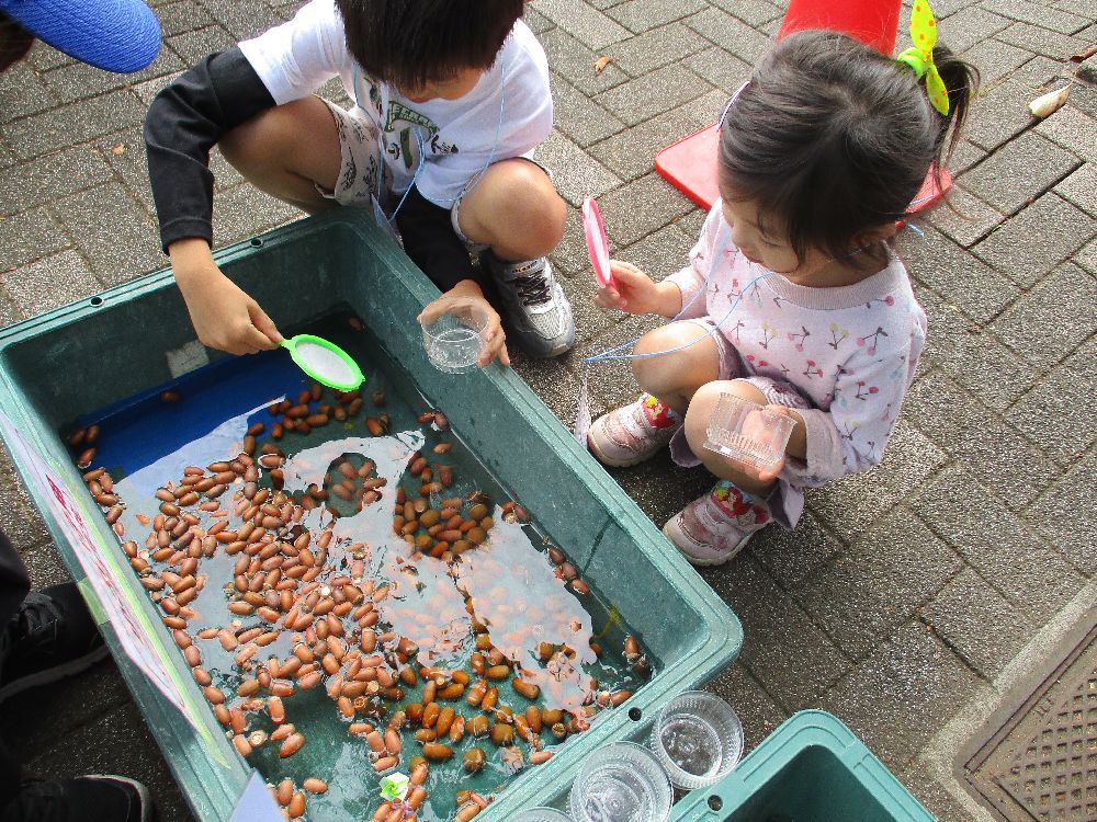 亀戸中央公園】10/20 どんぐり祭りを開催いたしました！ [ブログ