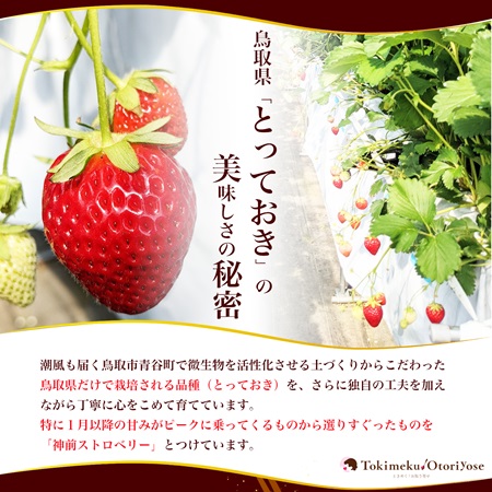 フルーツ :: 幻の濃厚いちご「神前ストロベリー」（1箱/4パック） 3月