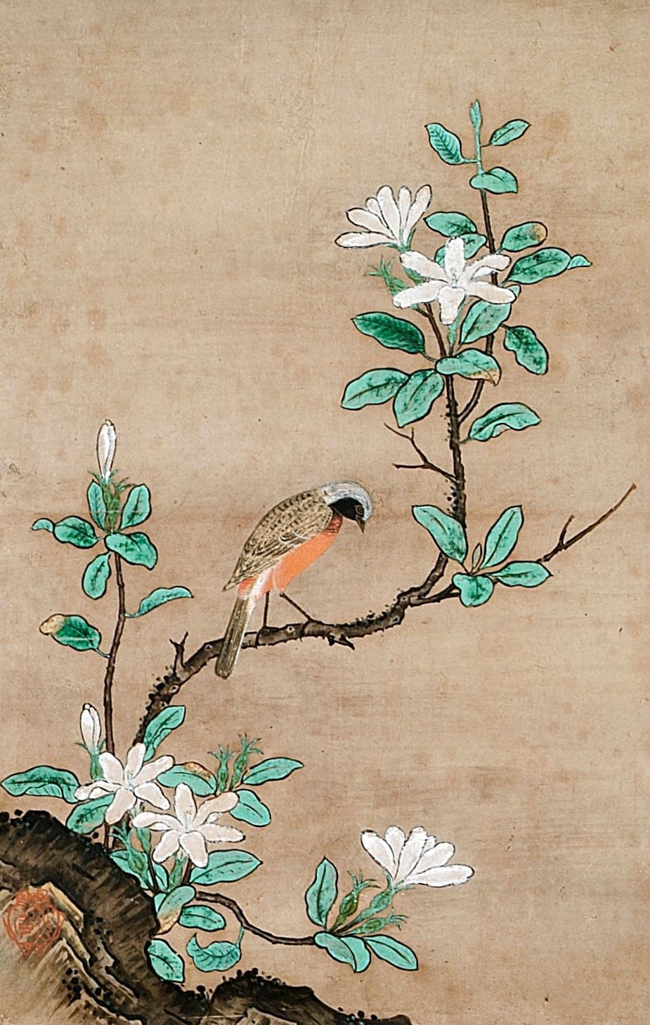 花鳥図 - 常盤山文庫