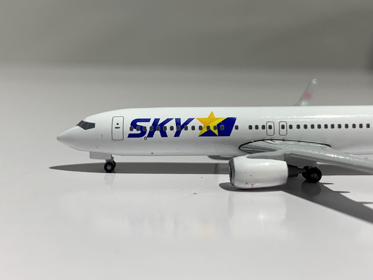クロスウイング B737-800w スカイマーク SKYMARK AIRLINES JA73AA