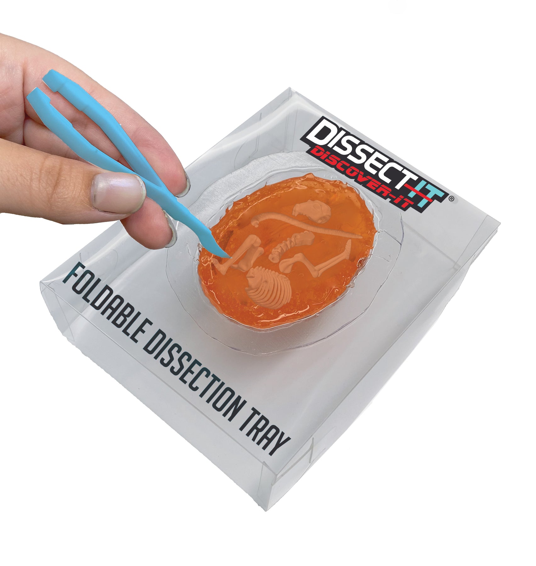 Discover-It Synthetic Owl Pellet Lab – Top Secret Toys