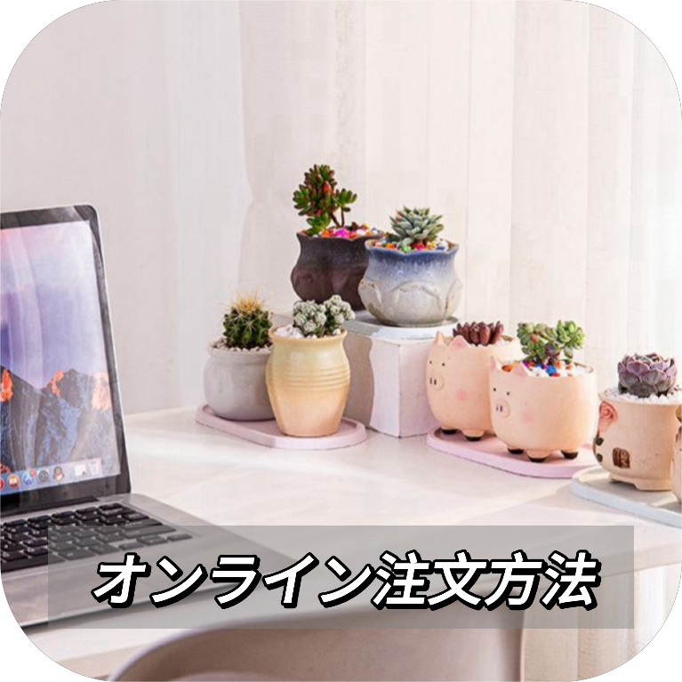 Top Succulent 中国多肉植物生産基地 日本へ輸出 通関 ドアツードア