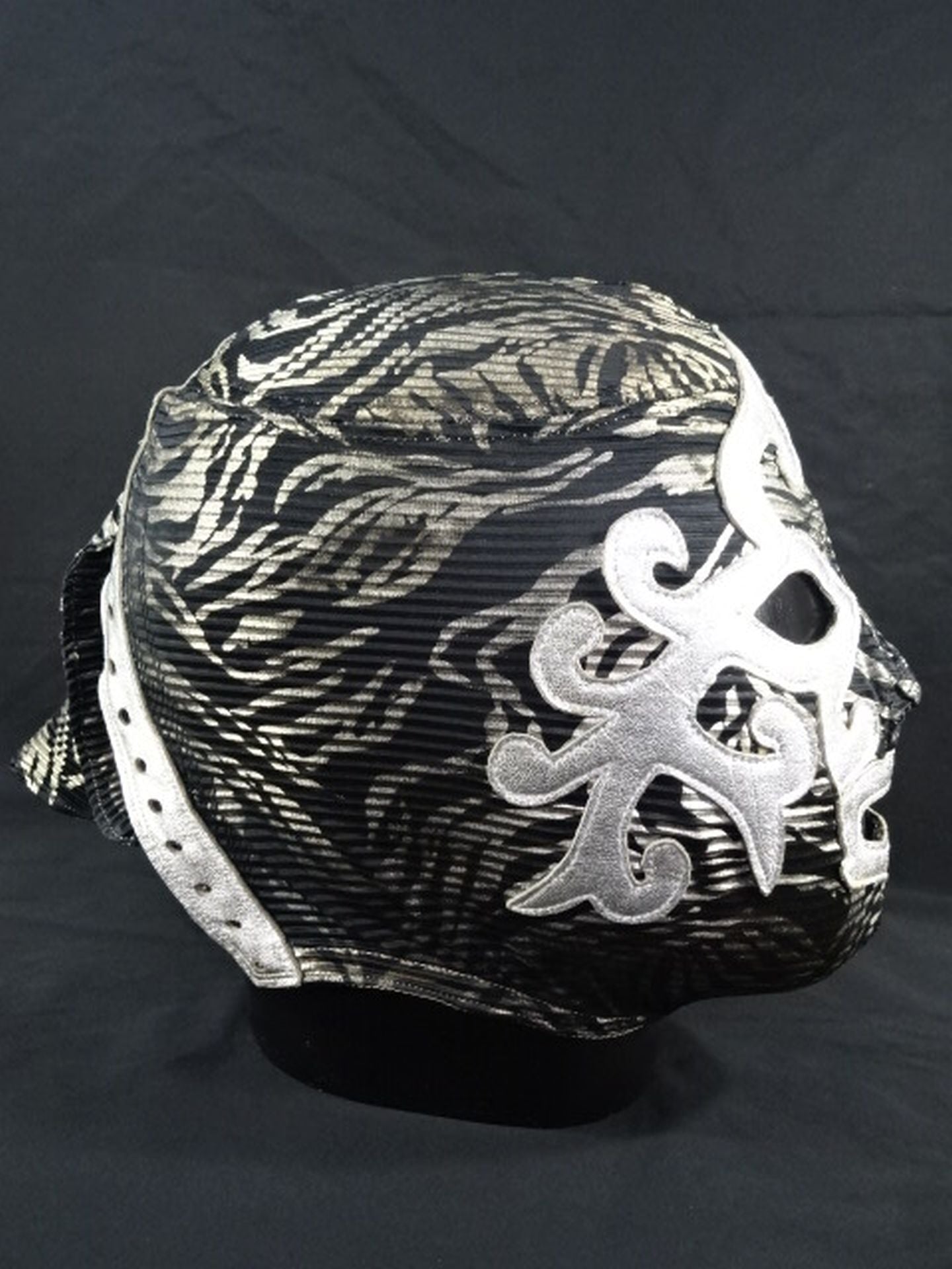 ミル・マスカラス – 闘道館