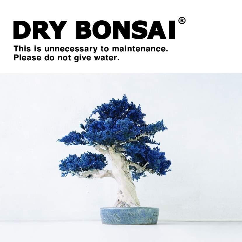 ドライ盆栽 | RE 盆栽™ のTOUFU株式会社