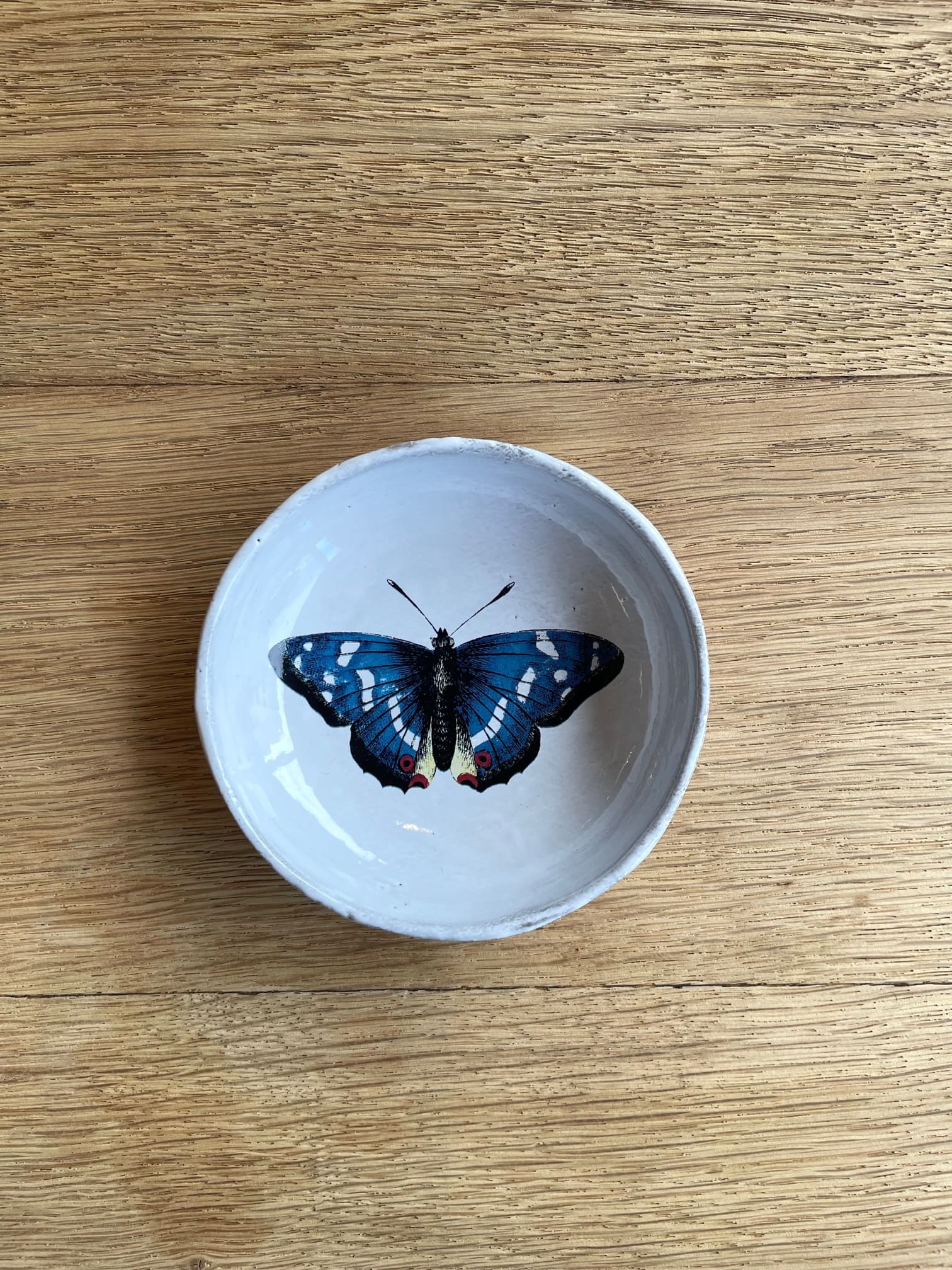 John Derian 青い蝶のディッシュ 9.2cm - 陶夢