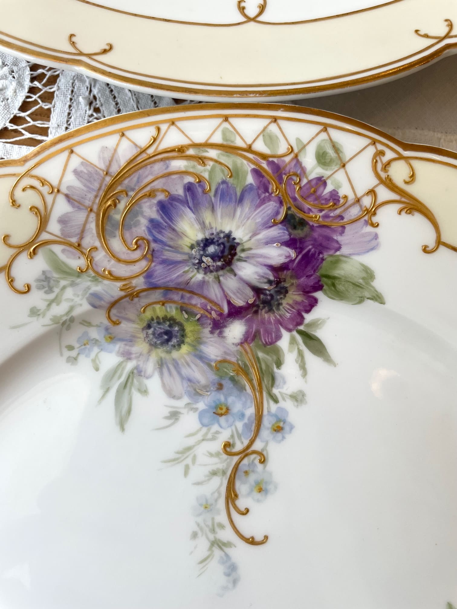 KPMベルリン ディナープレート 6枚セット hpt577 - 陶夢