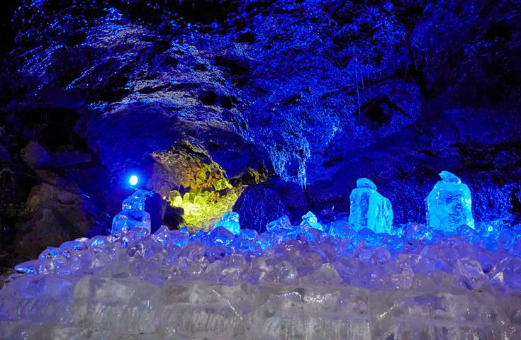 新宿発]高級ぶどうの王様「シャインマスカット」狩り食べ放題に標高