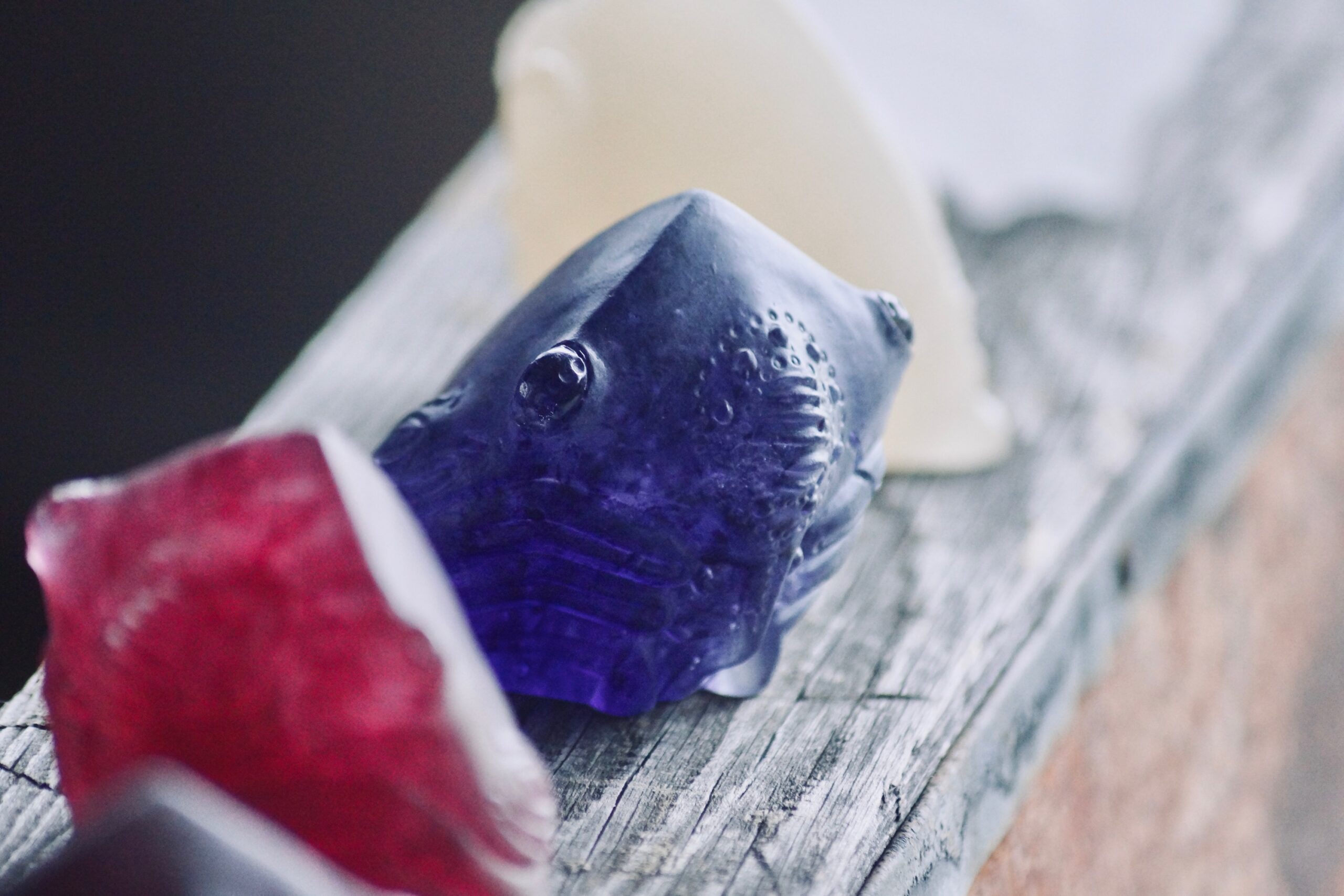 芝崎由華】新たな作品が入荷しました | 蟲と焼菓子 昆蟲菓舗 灯螂舎