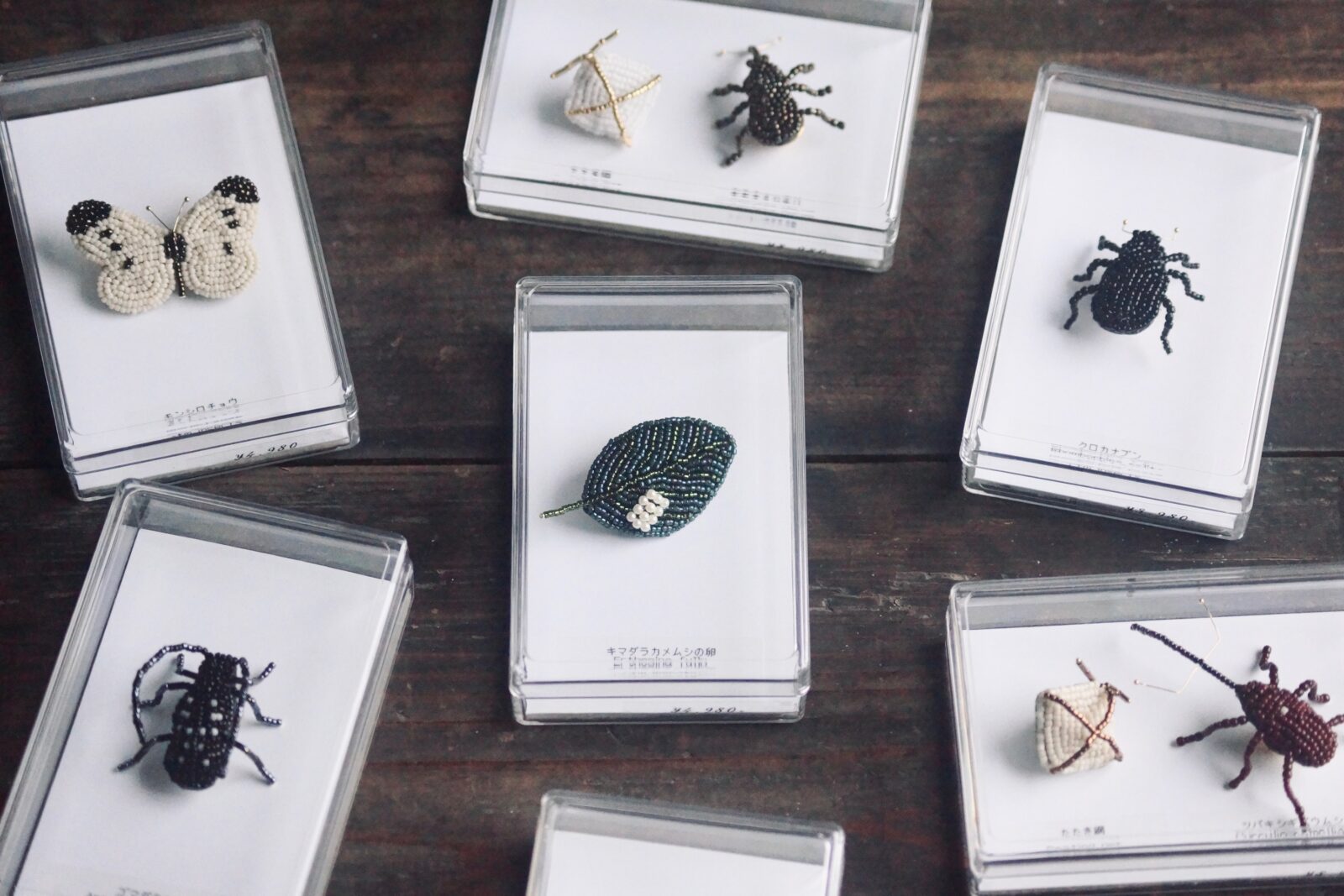 ctm.insects】新たな作品が入荷しました | 蟲と焼菓子 昆蟲菓舗 灯螂舎