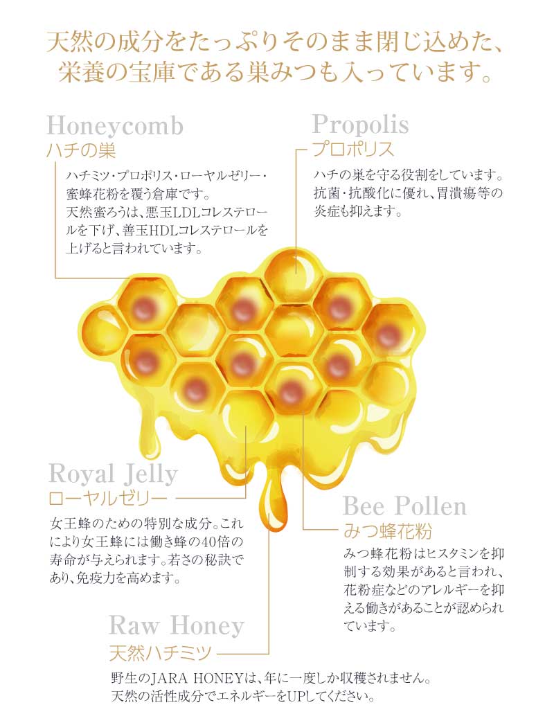 WILD JARA HONEY ｜オーガニック ジャラハニー｜天然はちみつ｜ハチの
