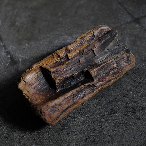 木化石（珪化木） – zakka store towi