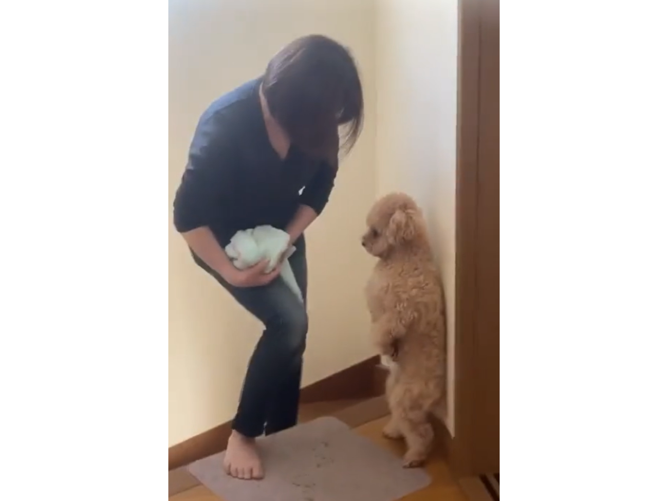 ごめんちゃい…」お漏らしがバレて思わず直立!? 反省ポーズが可愛すぎる