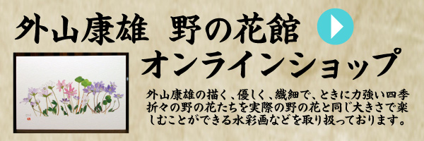 外山康雄 野の花館 公式サイト｜南魚沼市