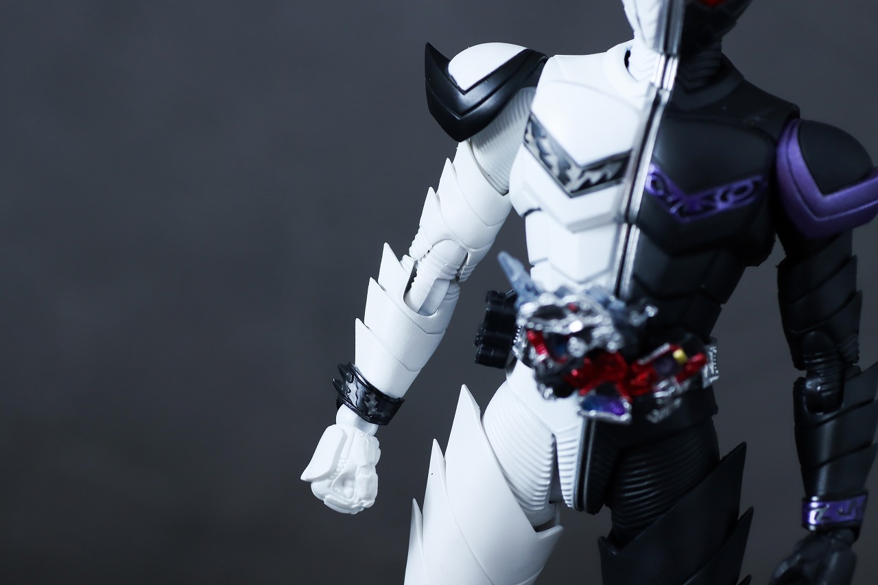 S.H.フィギュアーツ 真骨彫製法 仮面ライダーW ファングジョーカー（風