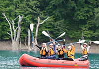 たんぽぽの空中散歩]たんぽぽの綿毛ひとつひとつに種がついていて風が