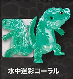 フトアゴン2 【スタジオソータ】