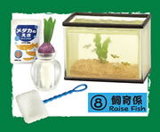 ぷちサンプルシリーズ さわやか4組 【リーメント】