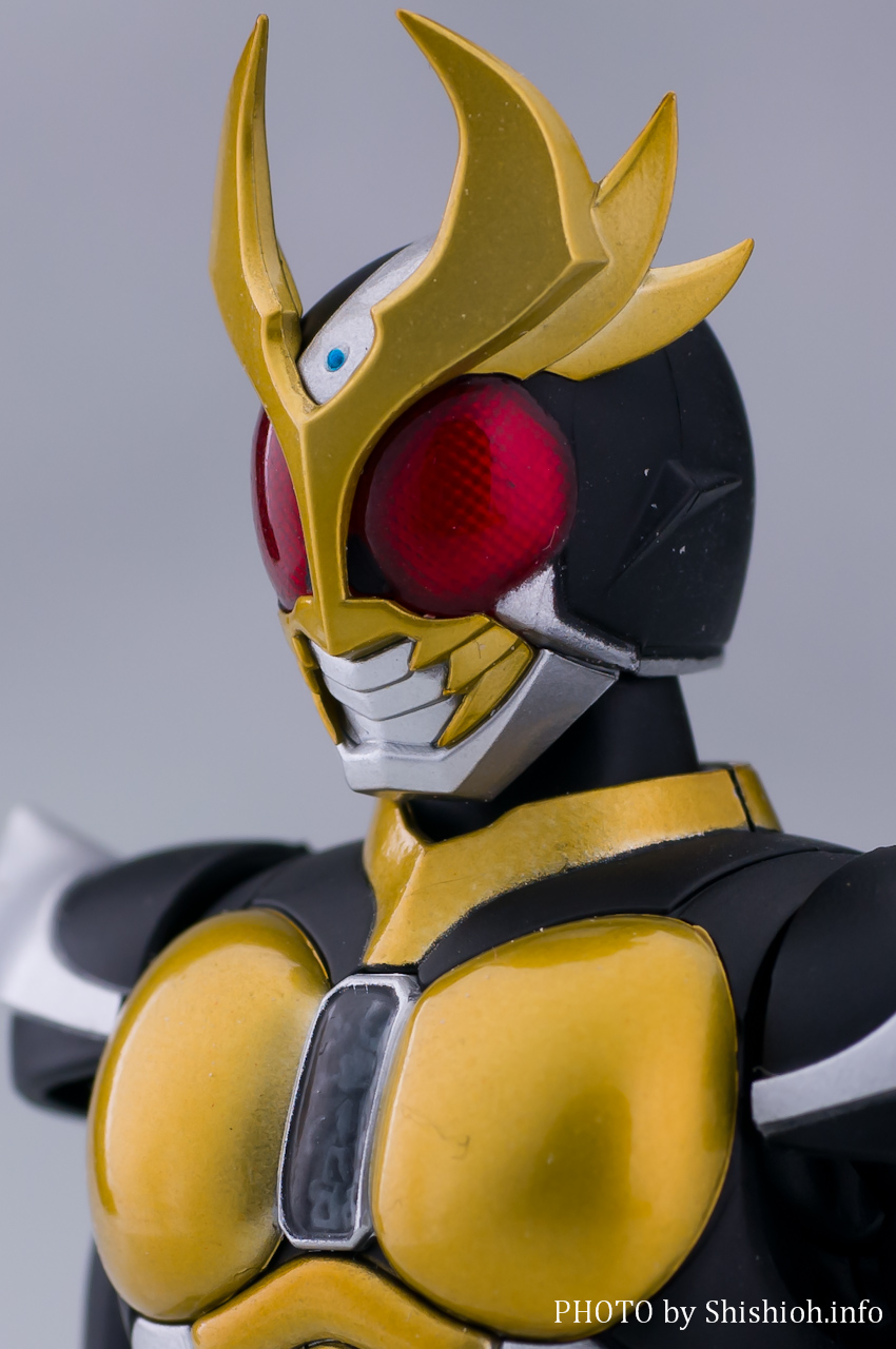 レビュー】S.H.Figuarts（真骨彫製法） 仮面ライダーアギト グランド