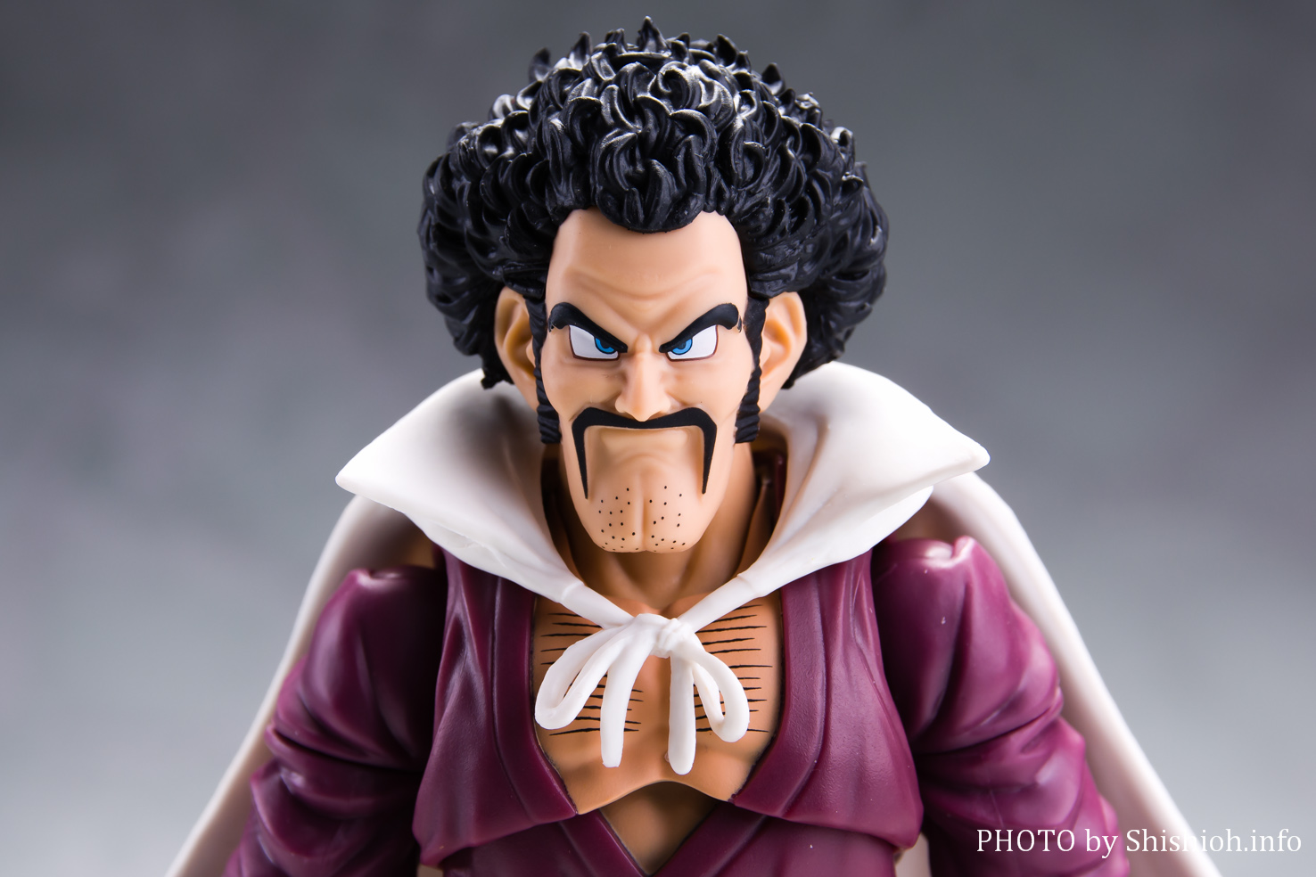 レビュー】 S.H.Figuarts ミスターサタン