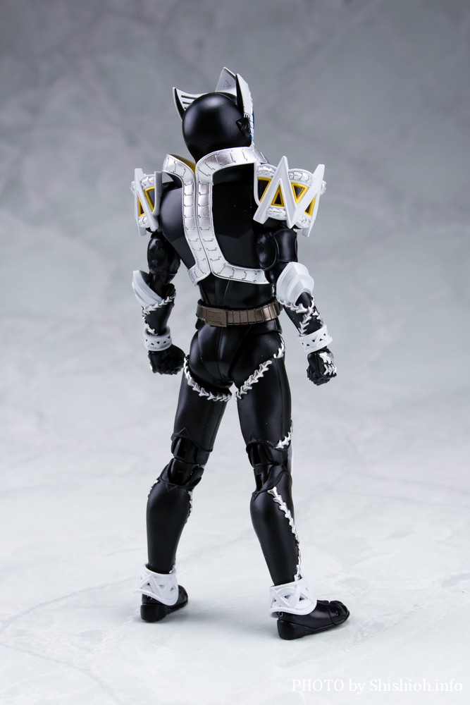 徹底レビュー】S.H.Figuarts（真骨彫製法） 仮面ライダーサガ
