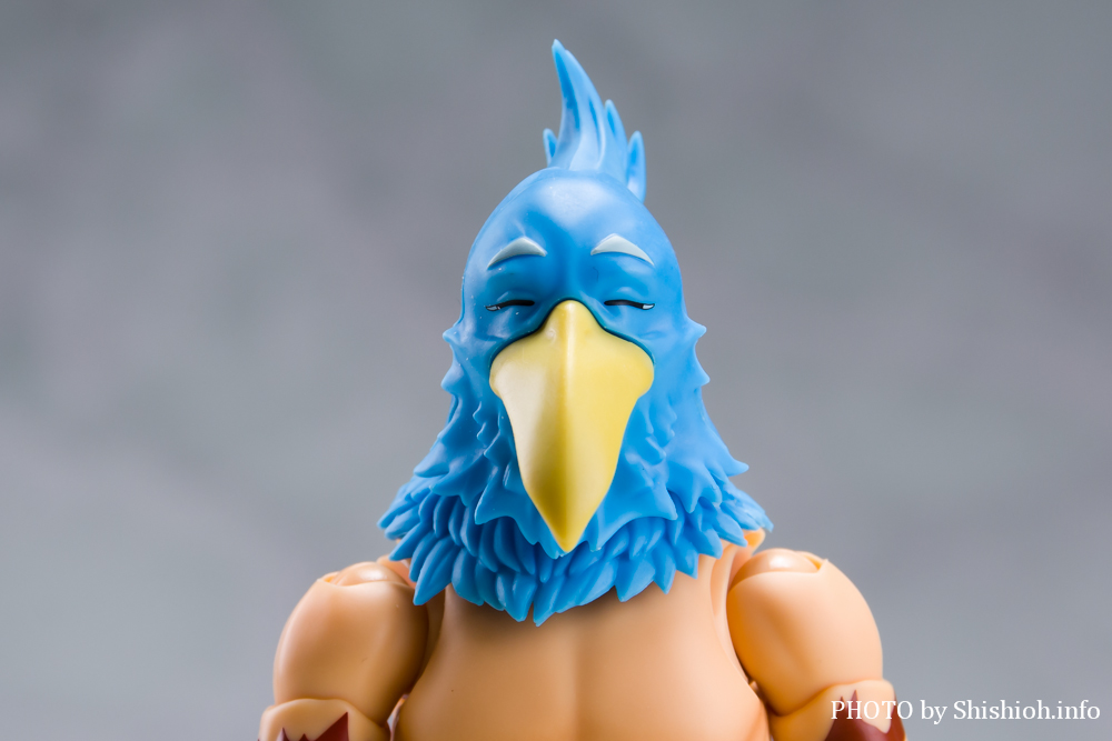 徹底レビュー】S.H.フィギュアーツ サンラク