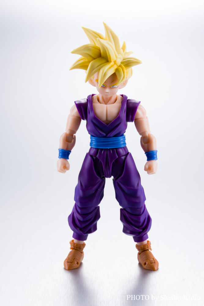 レビュー】S.H.Figuarts スーパーサイヤ人孫悟飯-悟空を超えた戦士-