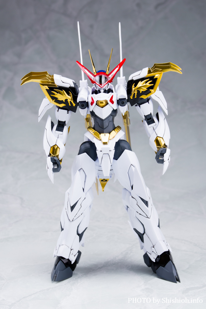 徹底レビュー】HG Amplified IMGN 龍王丸