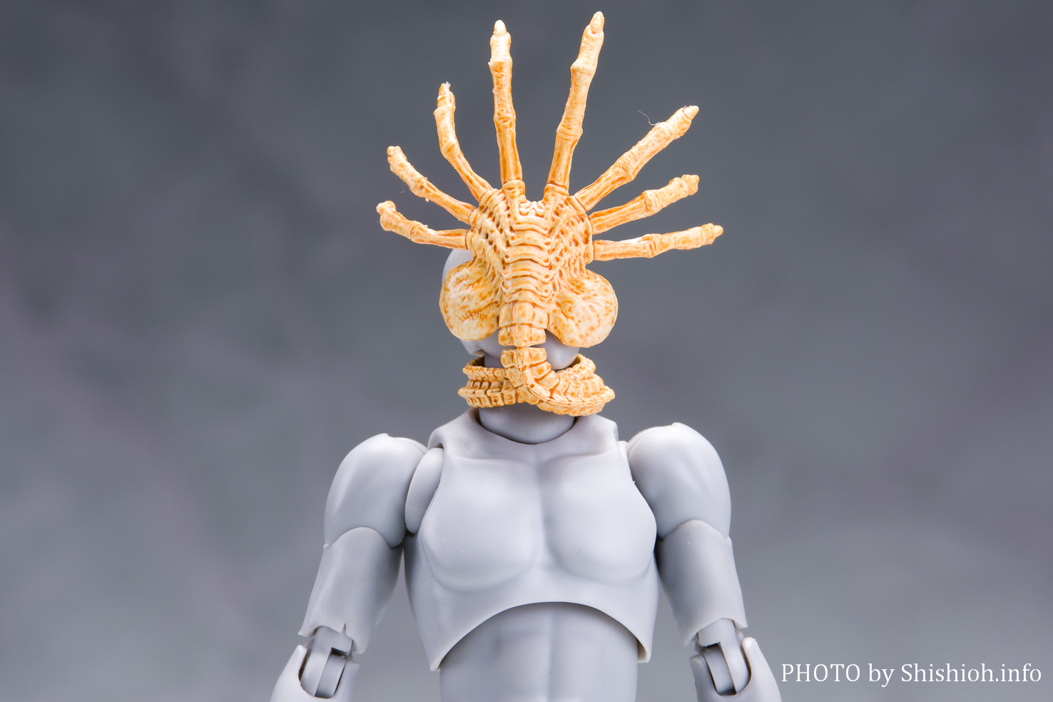 レビュー】 figma SP-108 エイリアン 竹谷隆之アレンジver.