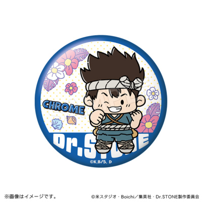 Dr.STONE 缶バッジコレクション 宝島ver.(全7種) Dr．STONE