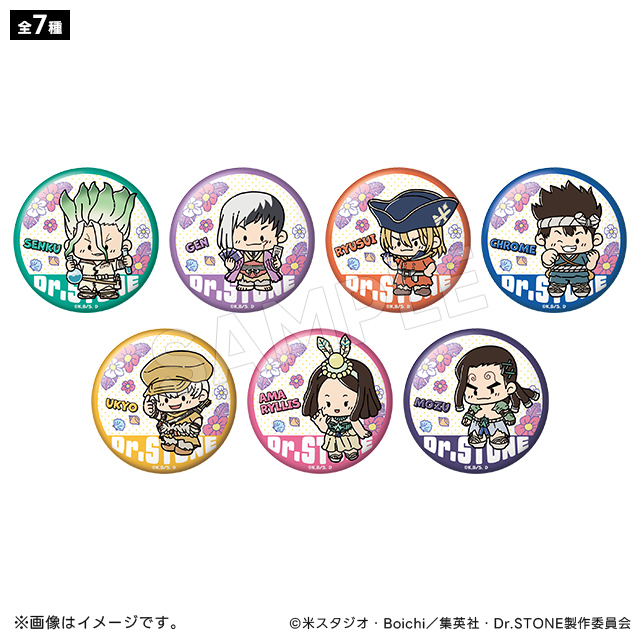 Dr.STONE 缶バッジコレクション 宝島ver.(全7種) Dr．STONE