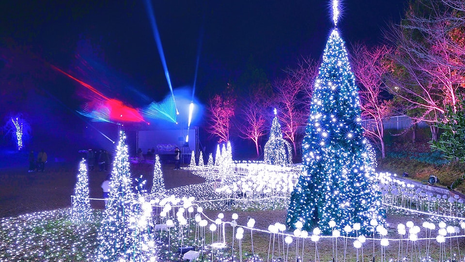 トライト株式会社