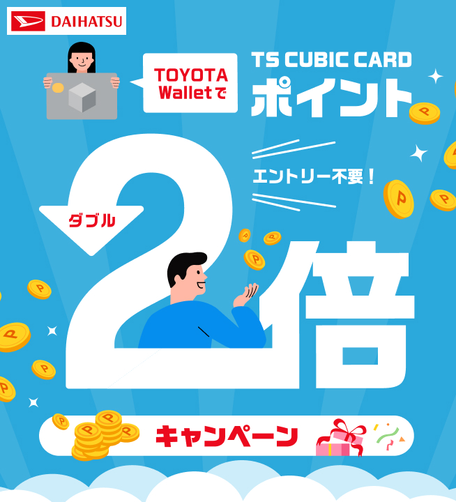 TS CUBIC WEBサイト