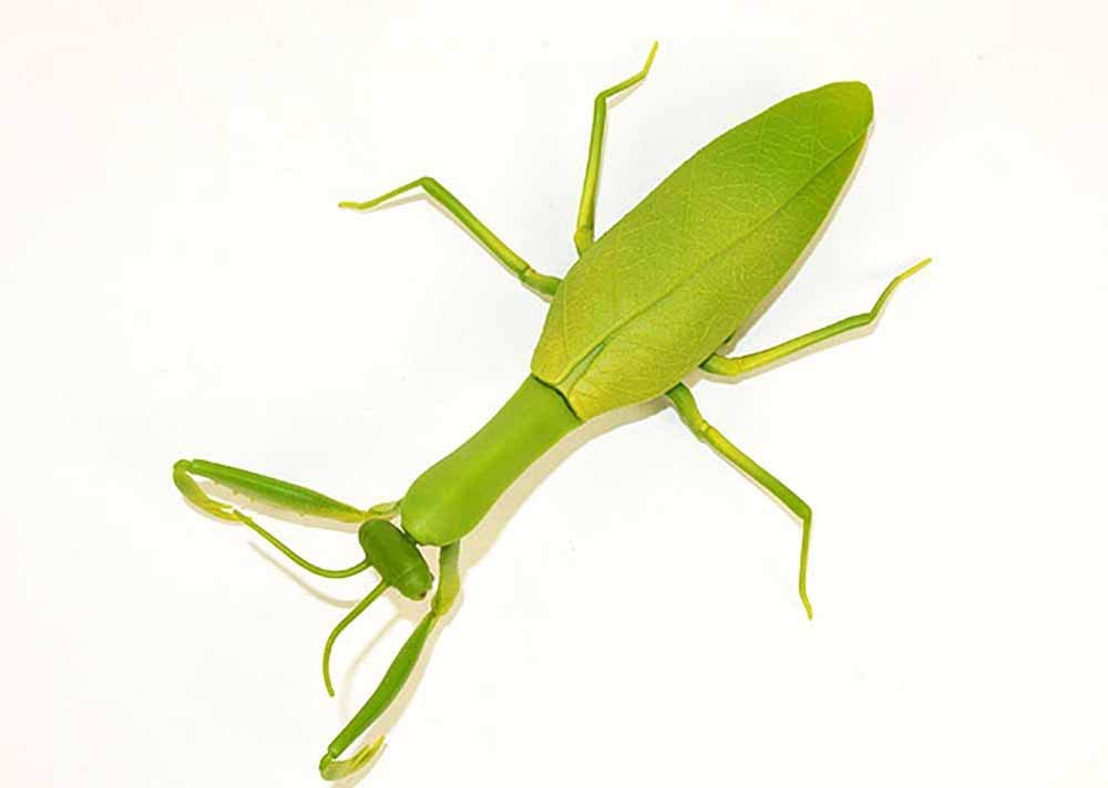 楽天市場】カマキリ 赤外線 RC リモコン 操作 ラジコン 昆虫 電池 付属