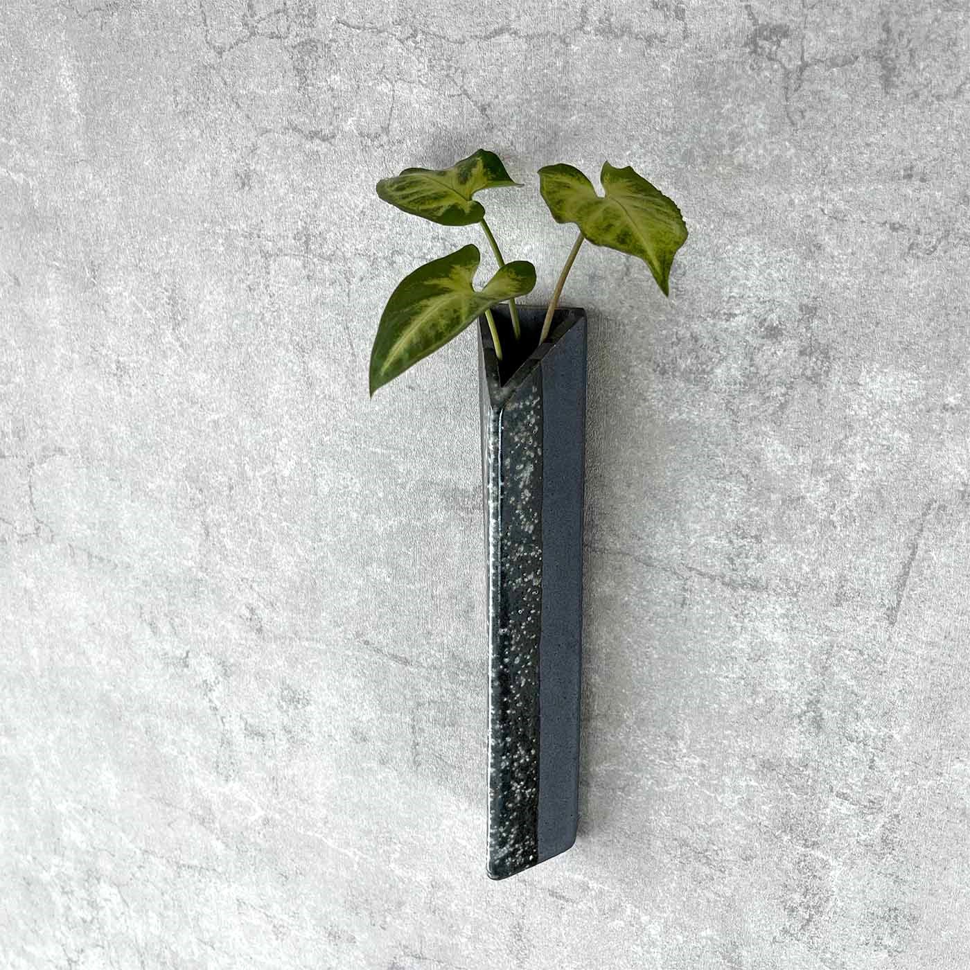 楽天市場】【信楽焼】壁掛一輪花入れ フラワーベース ブラック