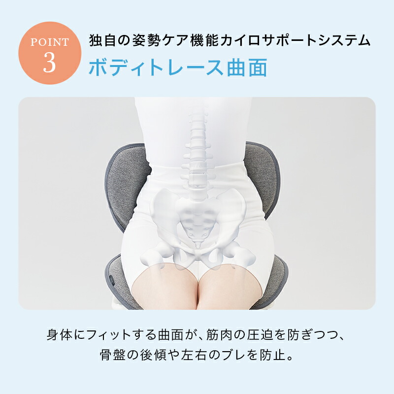 楽天市場】姿勢ケアシート スタイル スタンダード F01 生地あり Style