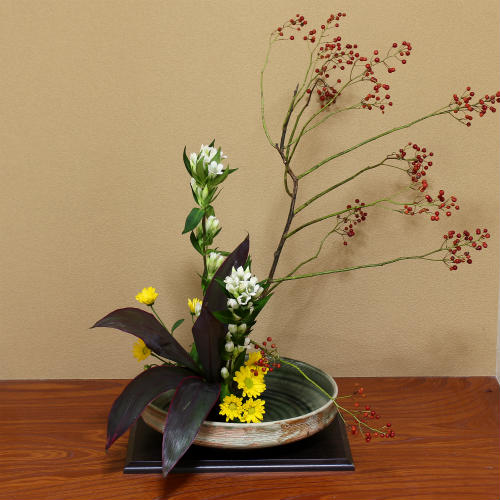 楽天市場】信楽焼 水盤 古信楽ビードロ流し丸型 11号 生け花 花器 池坊