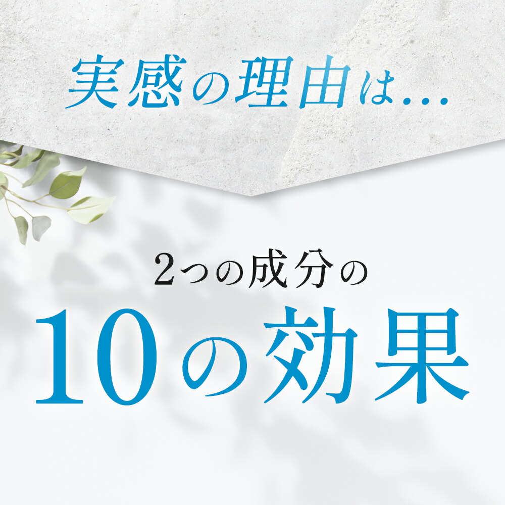 楽天市場】【公式】wellreco 糖脂サプリメント 血糖値 糖質