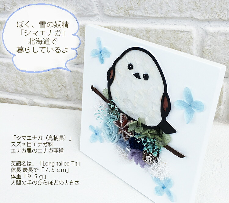 楽天市場】「雪の妖精＊シマエナガ＊」プリザーブドフラワー 誕生日