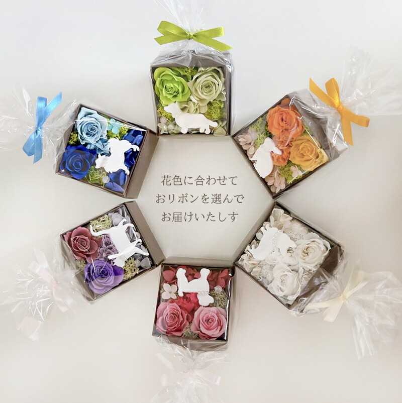 楽天市場】推し活 新色追加「Mini Animal Box」 ミニアニマルボックス