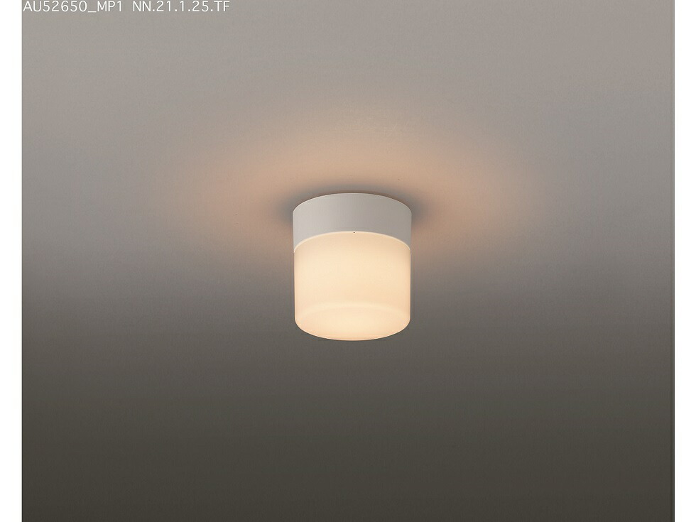 楽天市場】コイズミ LED 浴室灯 GX53ランプ (BW220001B） 電球色 送料