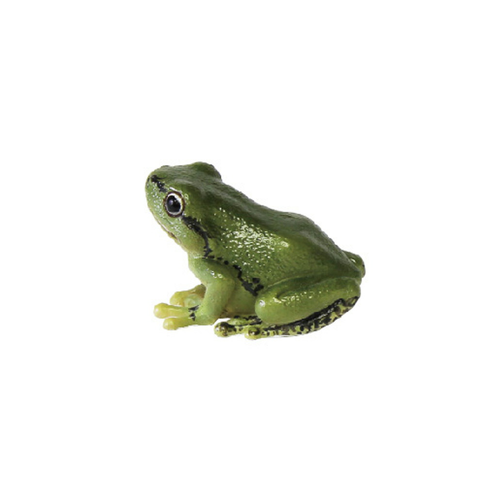 楽天市場】アマガエル リアル カエル 蛙 オブジェ 置物 マグネット