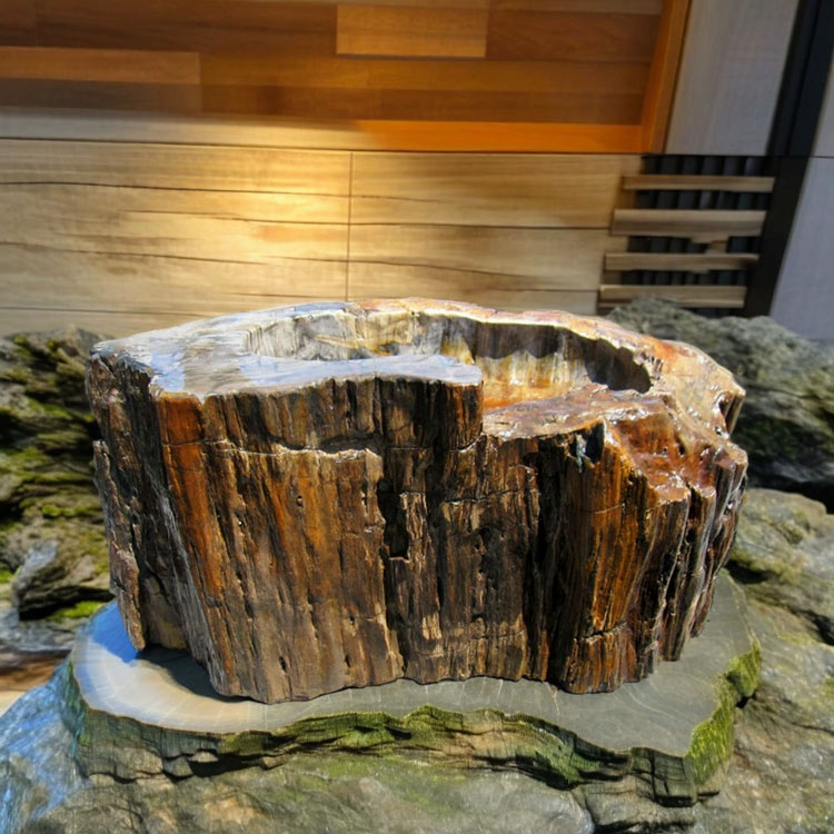 楽天市場】つくばい 手水鉢 水鉢 大きい 木化石 珪化木 木の化石 巨大