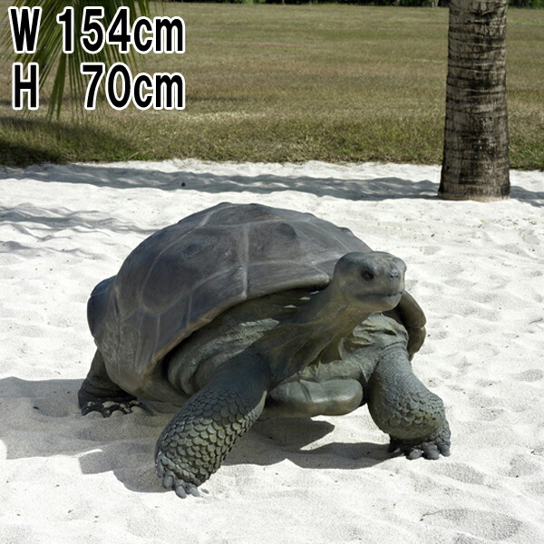 楽天市場】FRPアニマルオブジェ ガラパゴスの陸亀 Galapagos Tortoise