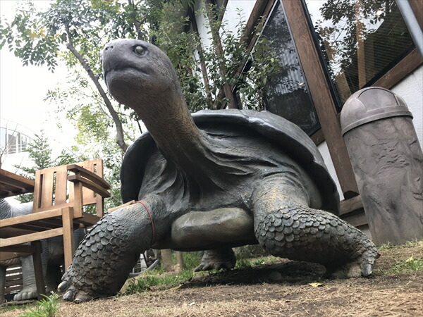 楽天市場】FRPアニマルオブジェ ガラパゴスの陸亀 Galapagos Tortoise