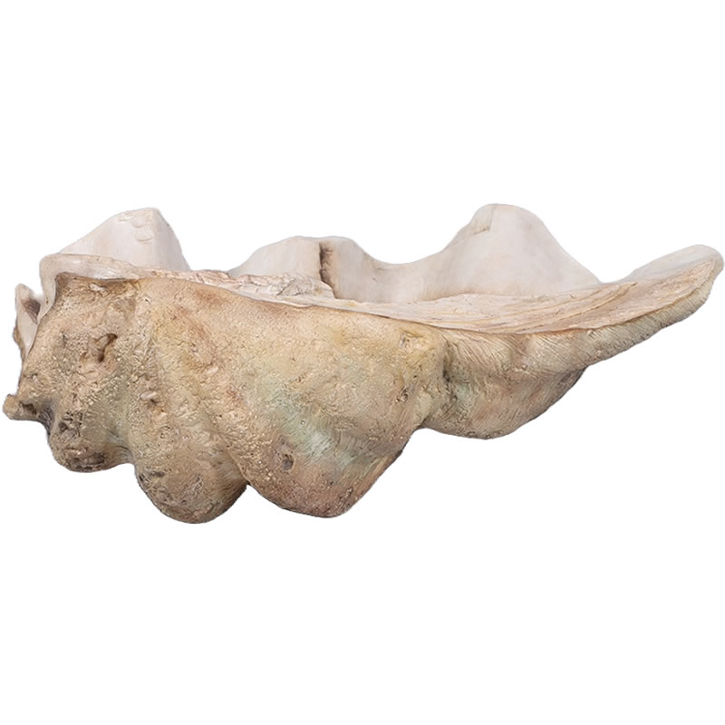 楽天市場】強化プラスチック (FRP) アートオブジェ シャコ貝 Giant