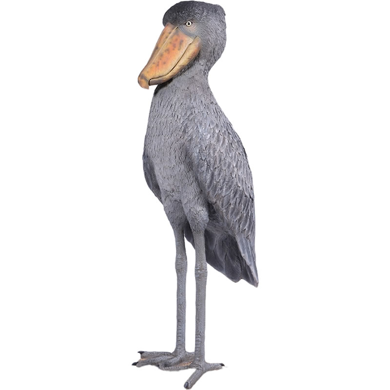 楽天市場】立つハシビロコウ Shoebill Stork 強化プラスチック (FRP