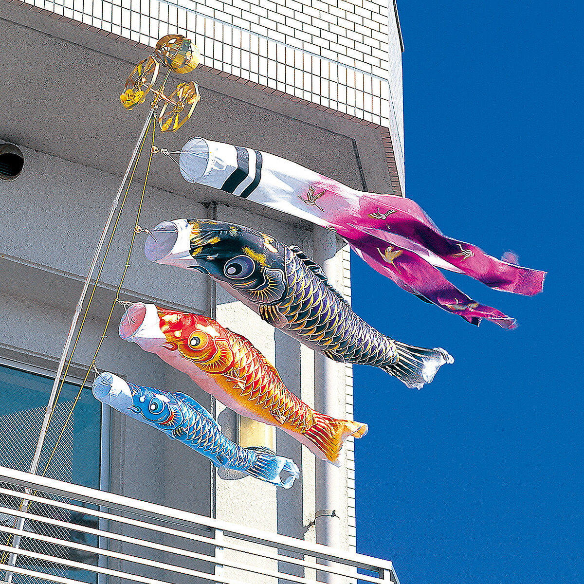 楽天市場】鯉のぼり 勢雅 2mネオビルダーセット 撥水仕立 玉龍吹流