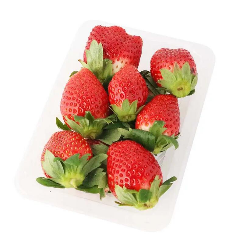 いちご とちおとめ」の人気商品一覧 | 安い商品を通販サイトから探す